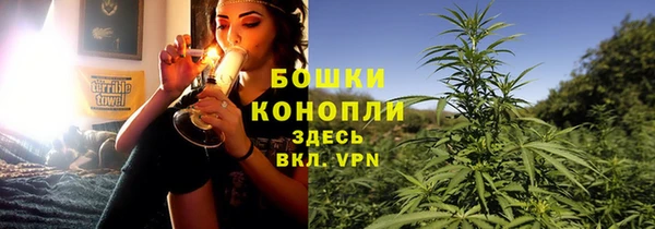 дурь Волосово